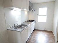 新家サングリーン タウンハウス(連棟)