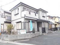 (15305) 箱作