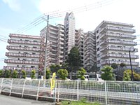 (81266) ブリティッシュ・ティンバー尾崎